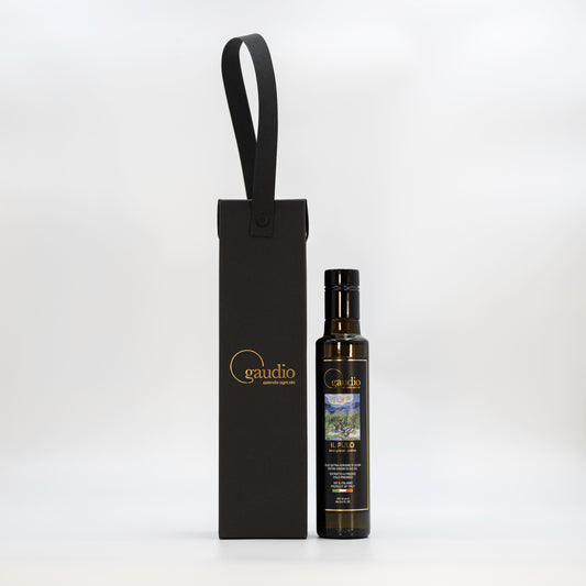 Gift Bag Gaudio Evo