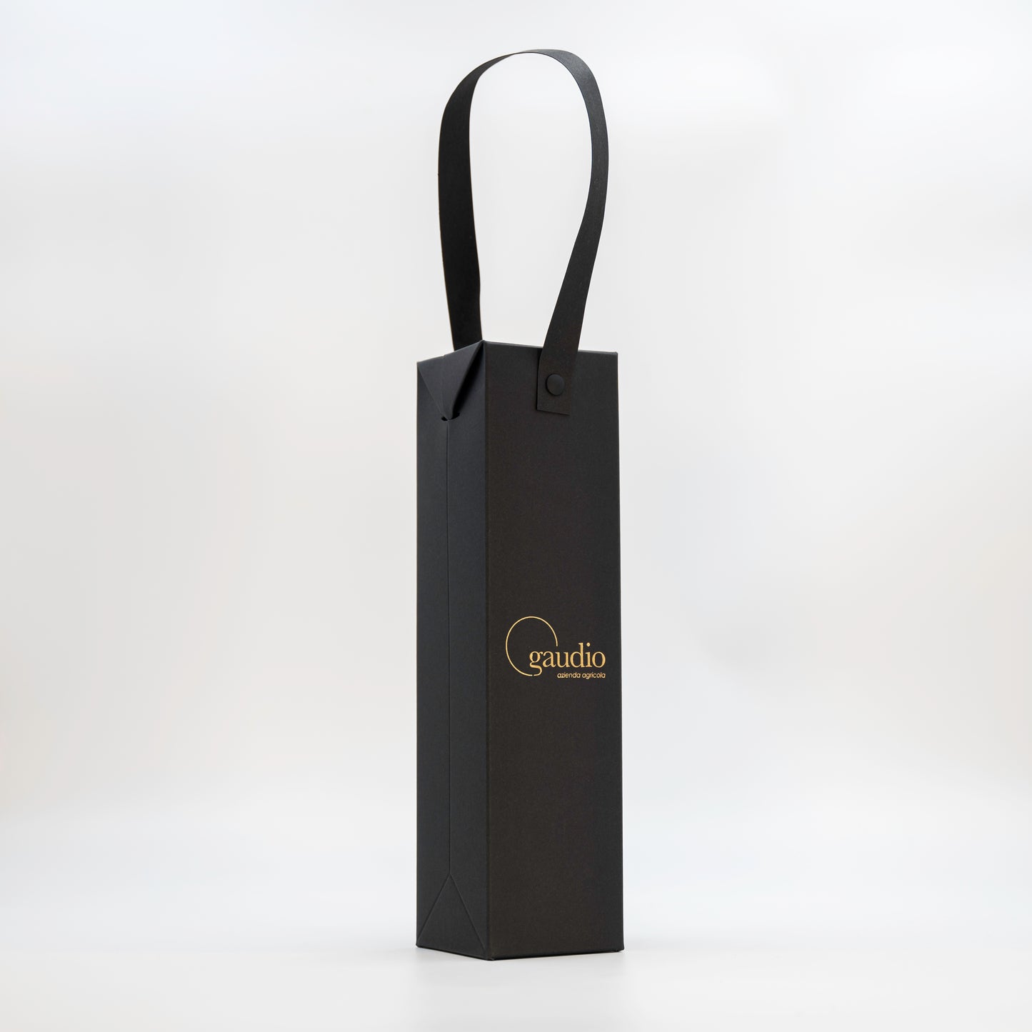 Gift Bag Gaudio Evo