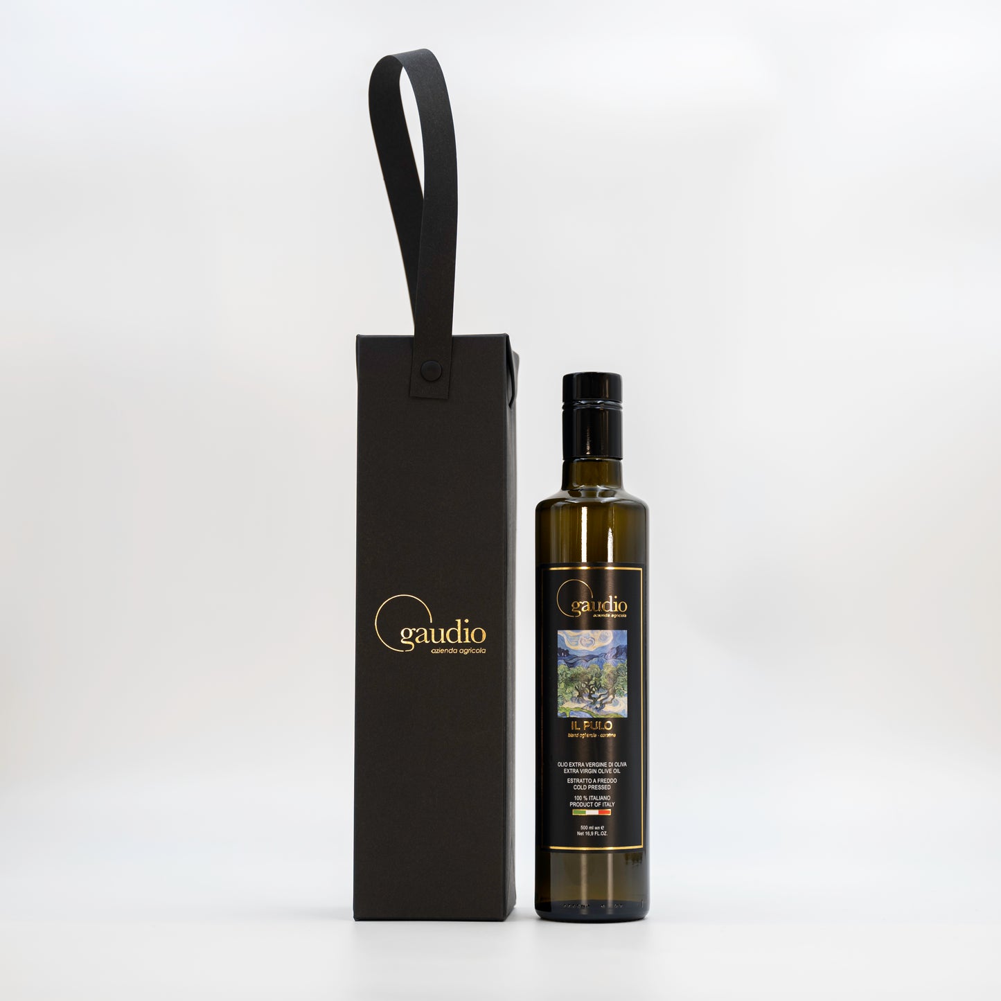 Gift Bag Gaudio Evo