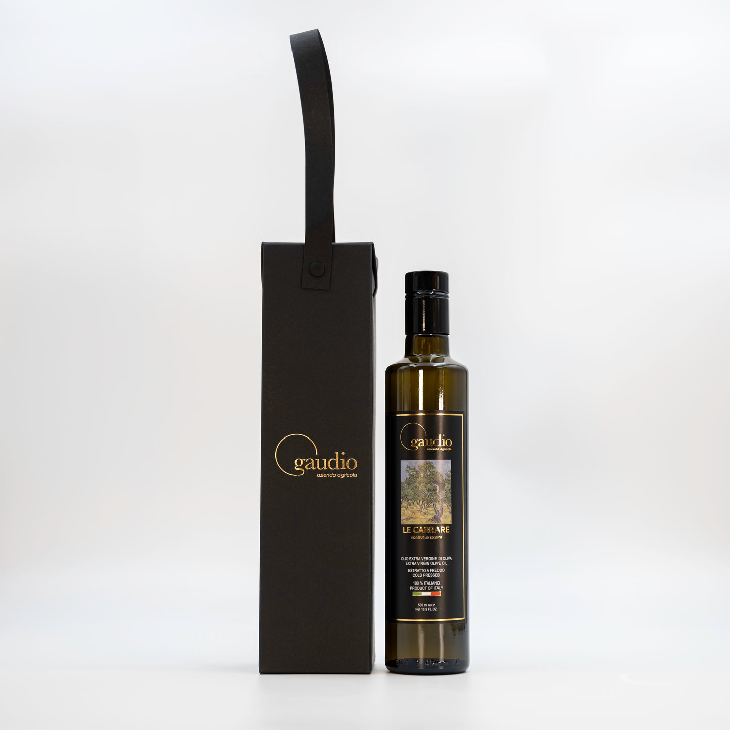 Gift Bag Gaudio Evo